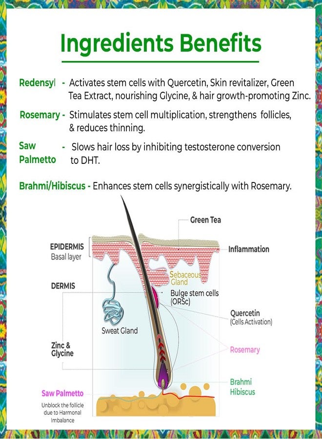 Passion Indulge Hair Proteinz Activator with Rosemary, Redensyl |Stimulates Hair Growth, Reduces Hair Fall & Thickness | Fast-Absorbing, Advanced Water-Based Formula for Healthier-50ml-Pack of 2 - Image 4